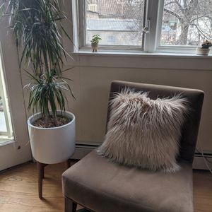 World Market Furry Ombre Pillow